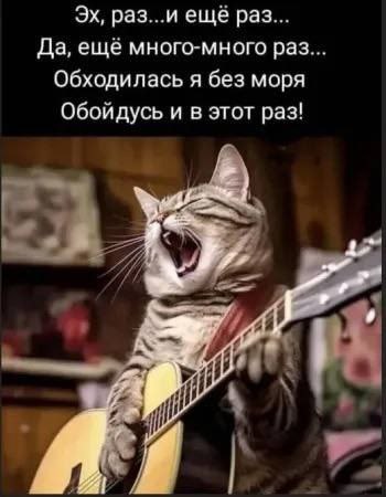 К котовторнику: подборка картинок-баянов с котиками и про котиков. Выпуск 20.