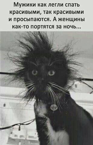Забавные и не очень скромные картинки - 18