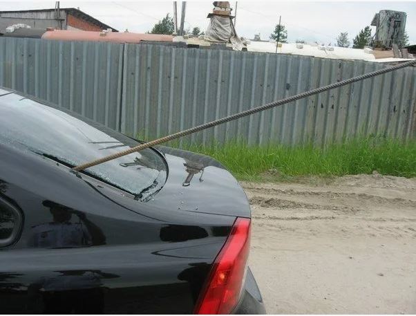 Нежданчик на дороге.