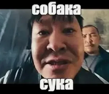 Газелист посчитал себя умным.