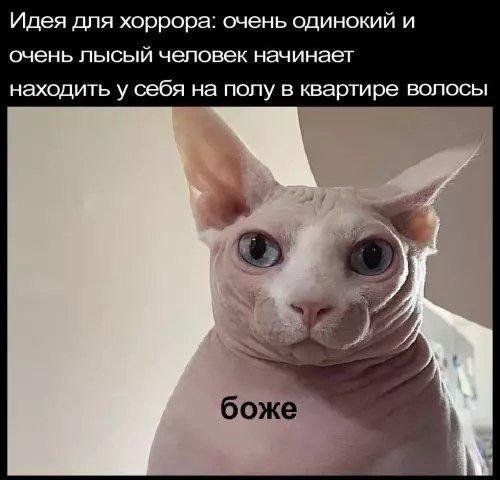 Картинки для деградации 119 (разной степени свежести)