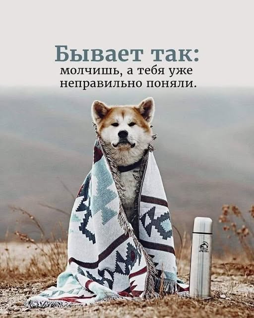 Веселые картинки в четверг