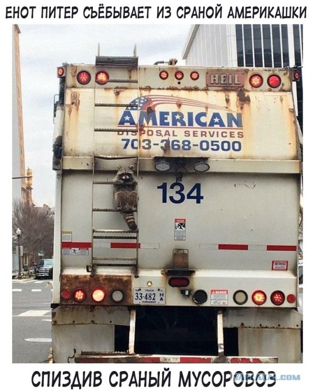 Картиночки, баянчики 01 марта