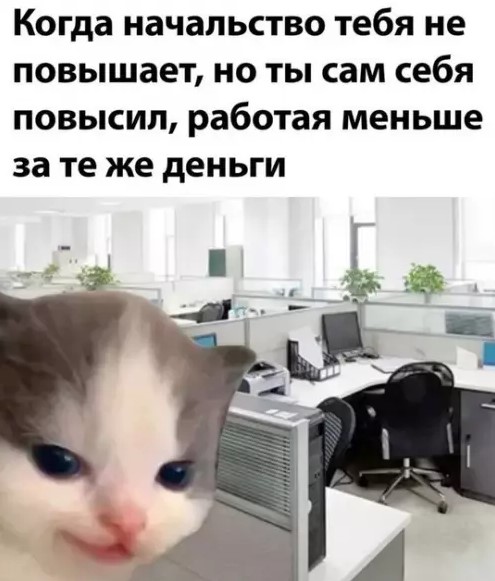 Картиночки, баянчики 14 марта