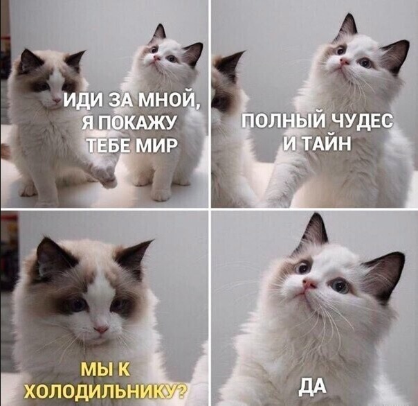 Картиночки, баянчики 16 марта