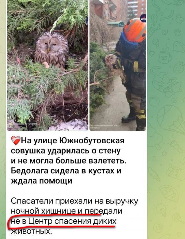 Подслушано в Москве: о чем вы говорили в центре в отсутствие связи