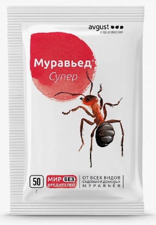 Муравьи в доме!