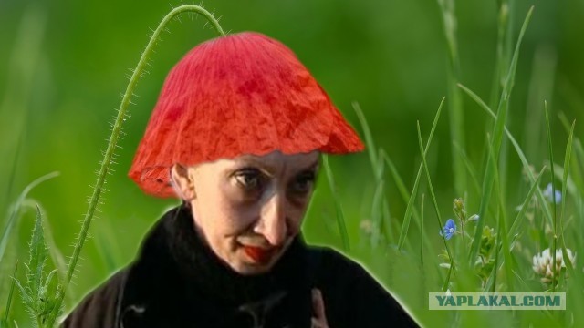 Имя Ибрагим вам о чем-нибудь говорит?