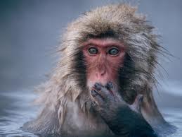 Злата хочет хорошо устроиться