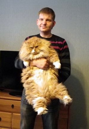 Царь,просто царь...