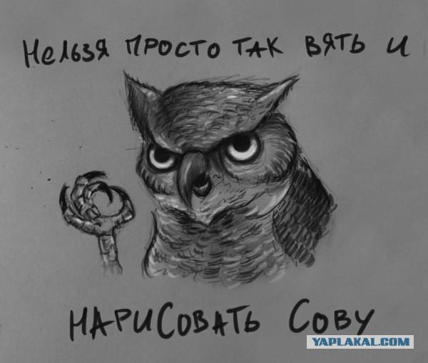 Как нарисовать сову