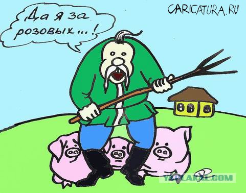 Политические интернет дебаты