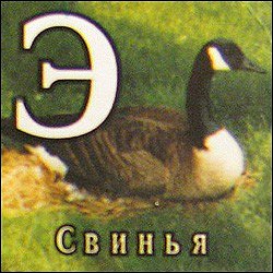 Тачка FORD, продавец Татьяна...