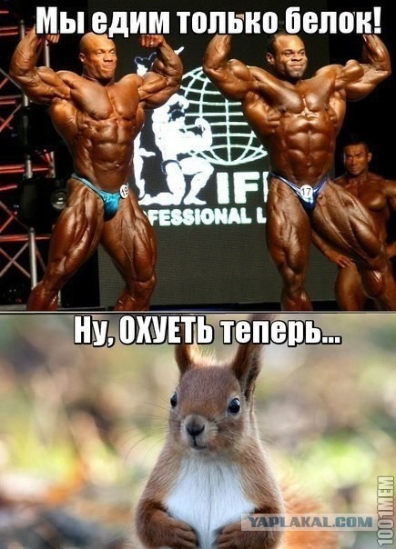Демотиваторы.