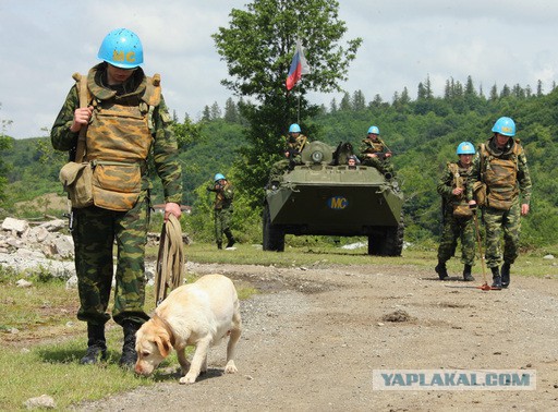 Украинская власть призвала ООН присоединиться