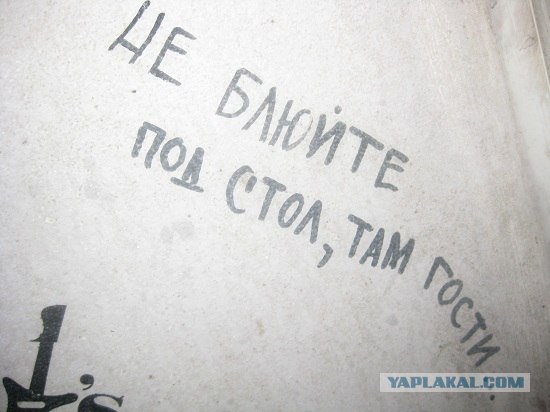 Оформление туалета в баре