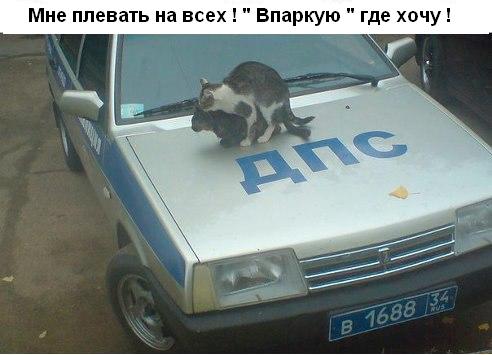 С миру по нитке. Демотиваторов чуть