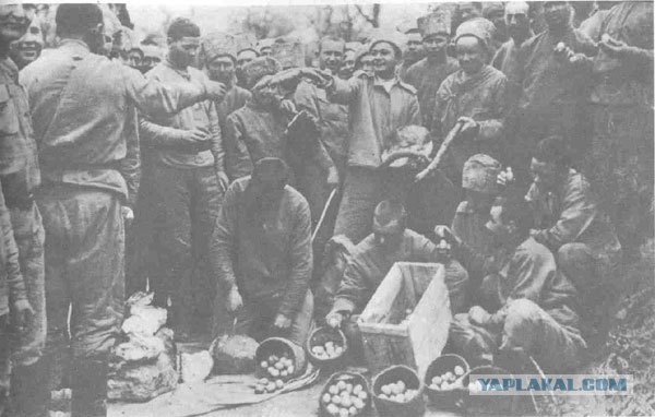 Очень редкие фотки Первой мировой войны