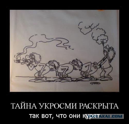 Кризис в Украине глазами карикатуристов