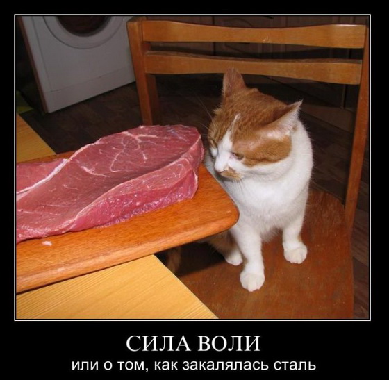 Демотиваторов пост, добавляйте свои
