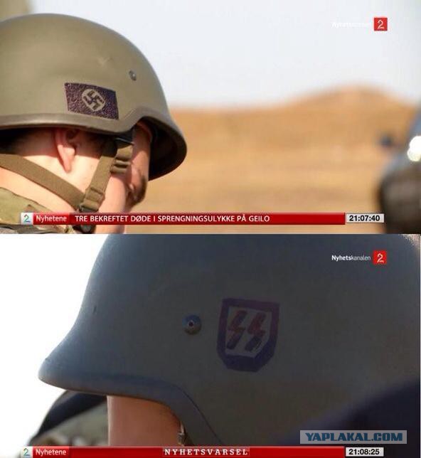 Война, мир и Таманский лес