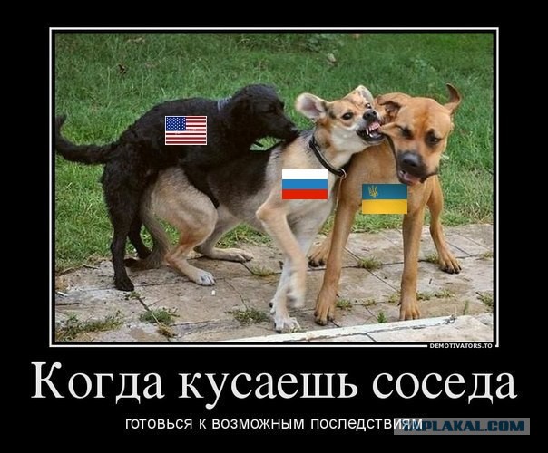 Без фильтров