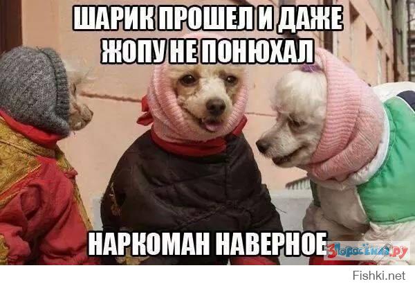Моя подборка веселенькой мути