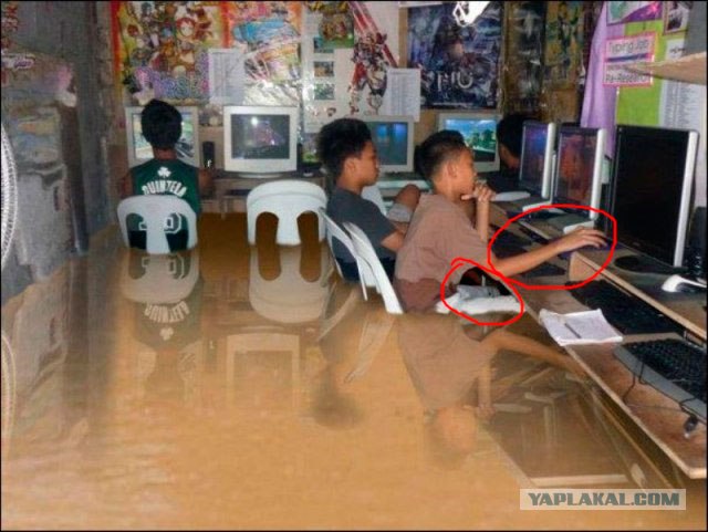 Водный мир