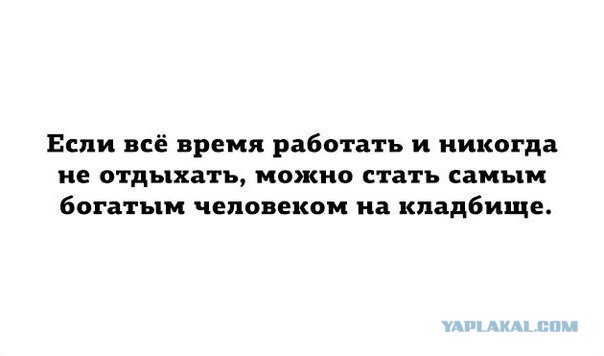 Мешанина прикольных картинок из сети