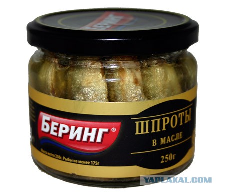 Вся попа-боль Латвии в одном фото