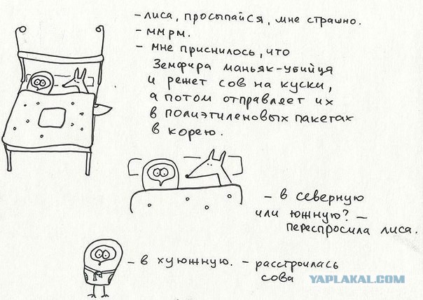 Пост любви к лисам