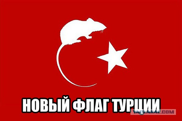Корабль ВМФ РФ не поднял "гостевой" турецкий флаг