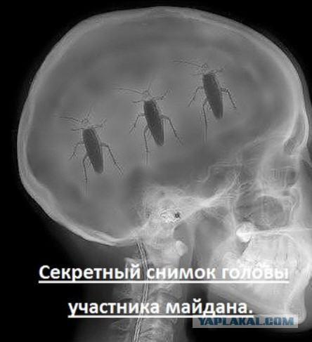 Факты о Крыме в составе России