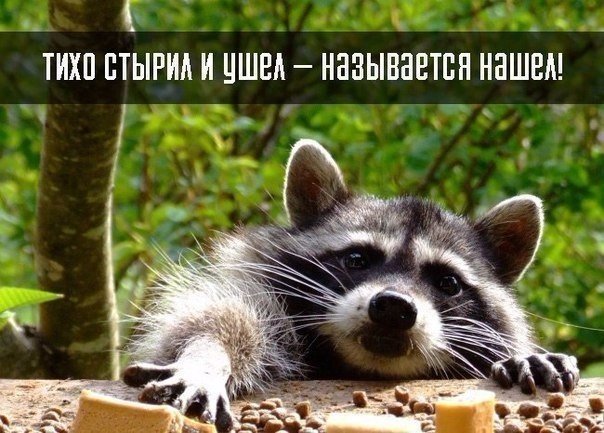 Мохнатые беспредельщики