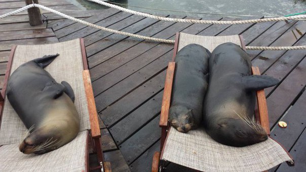 Интересные и веселые картинки