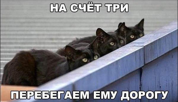 Подборка интересных и смешных картинок