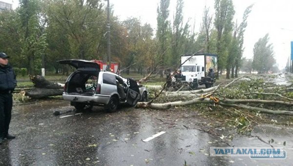 В Абакане снег, а как у вас погода, дорогие ЯПовчане?