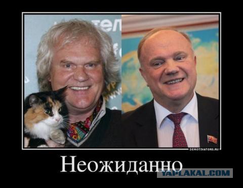 Китайский Путин, бразильская Меган Фокс и шведский Ди Каприо — 40 двойников звезд со всего мира