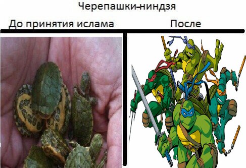 Порция бреда и абсурда к пятнице