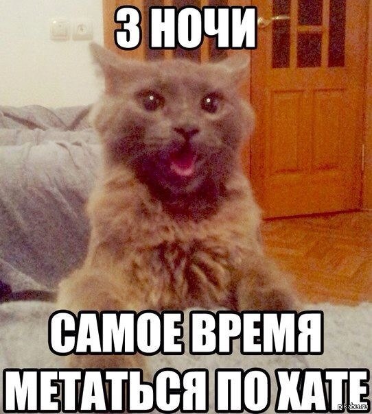 Тоша, пойдём кушать
