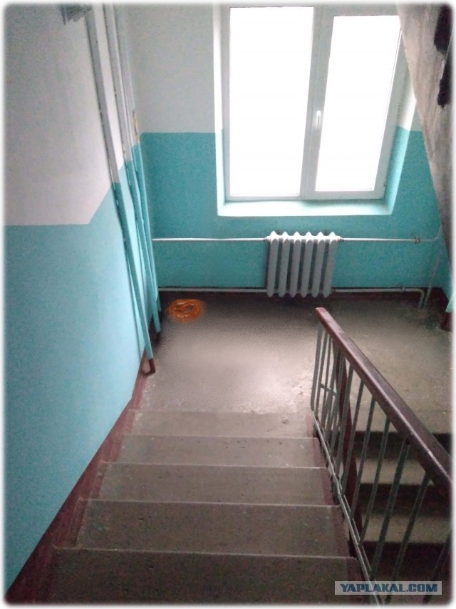 Выхожу в подъезд,  а там ОН