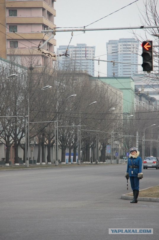 Ким Чен Ын и новенькие троллейбусы