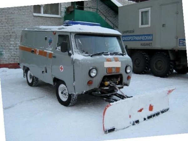 Прикольные картинки обо всем