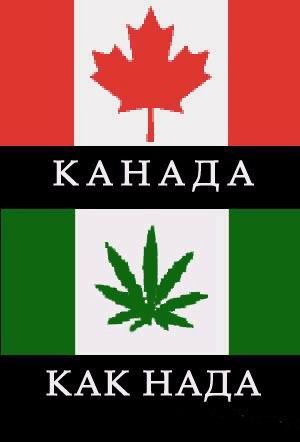 17 октября в Канаде официально разрешён оборот и употребление марихуаны.