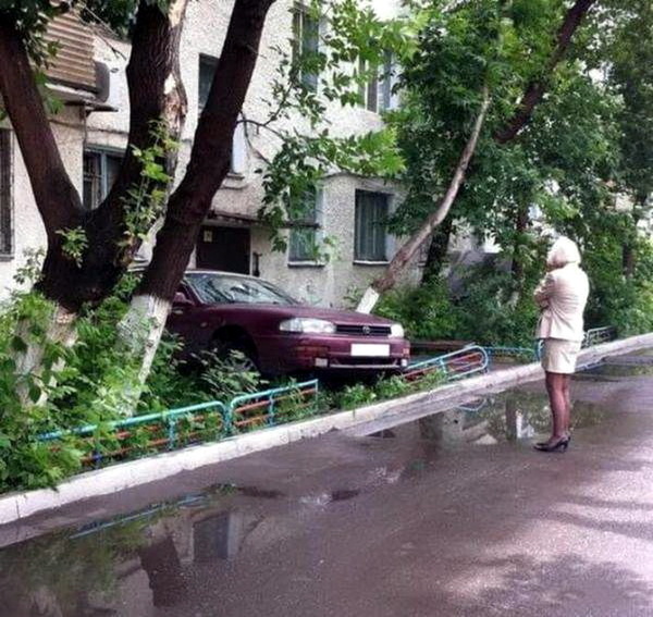 Картинки понедельника