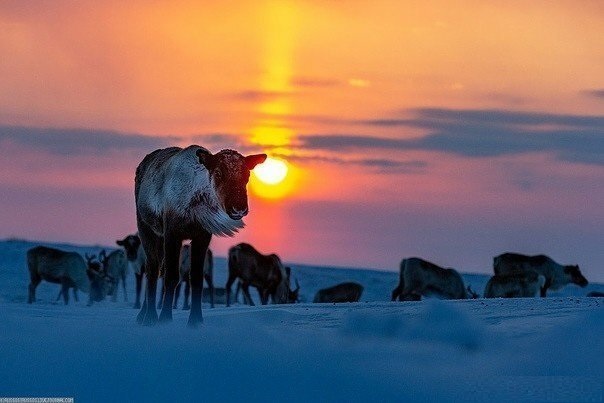 Подборка интересных и веселых картинок
