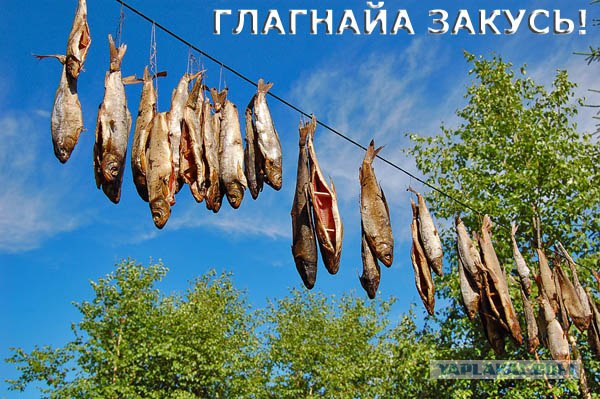 Первая ПЯТНИЦА июля! 04.07.08 - 13 фот