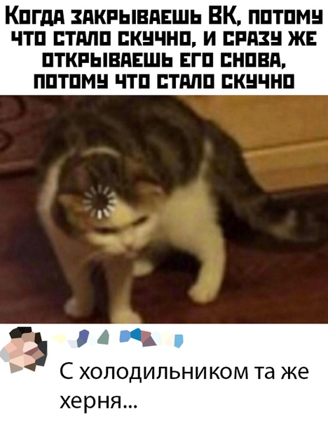 Прикольные картинки и фото с надписями и коментами