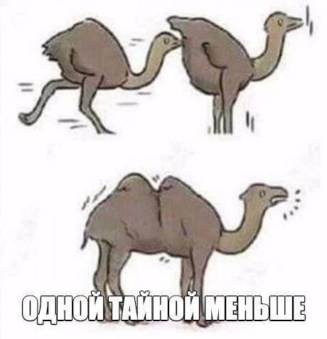 Не очень адекватный юмор
