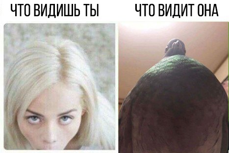 Юмор и прикольные картинки 04.12.2020